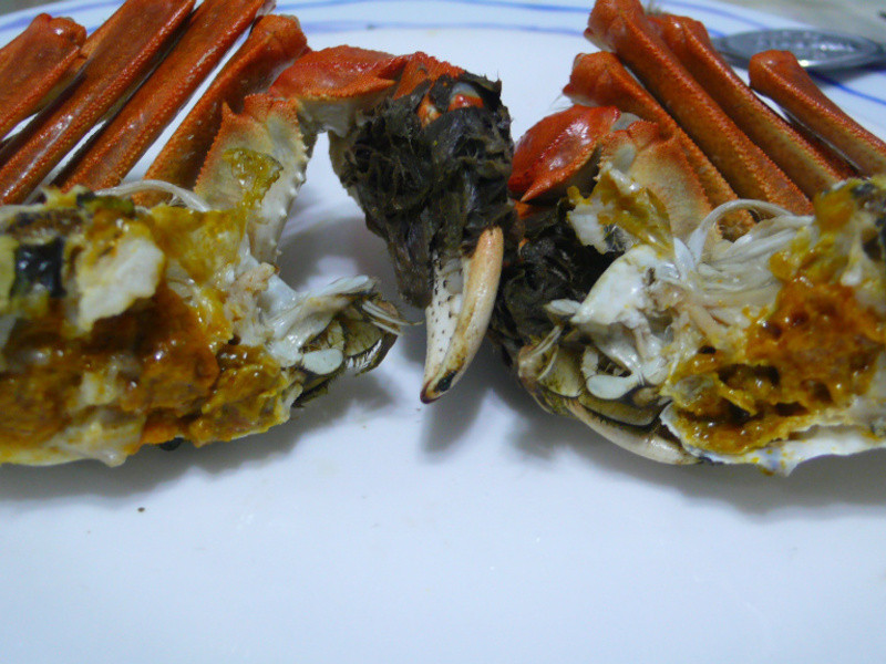 lanni ��բз������