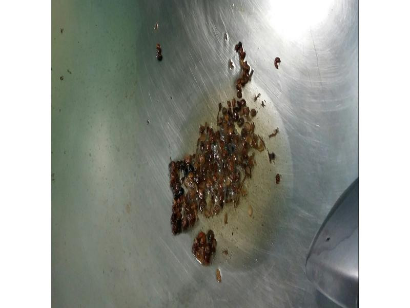 С��ɣ��ɣ�����������