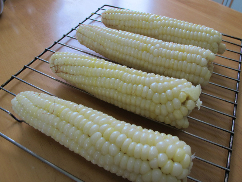 ���¿�ζ~��Ȼ��ζ�����׵�����