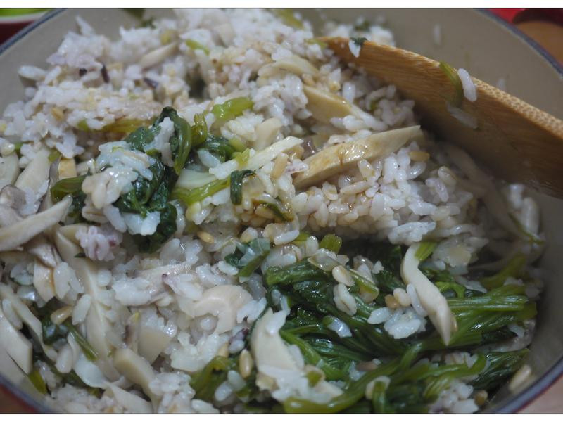 ������ʽ����������