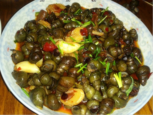 ����̫�����ϵ�����