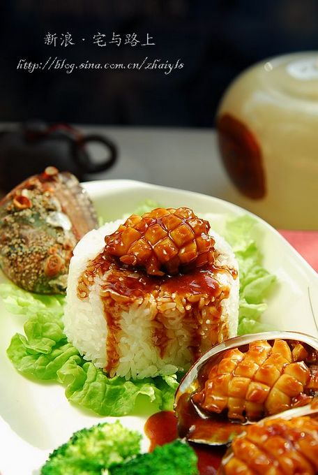 ֭Ũ������Ŵ�����ı����̷�������