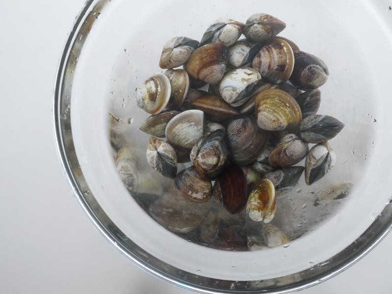 ���׸����ɴ���������