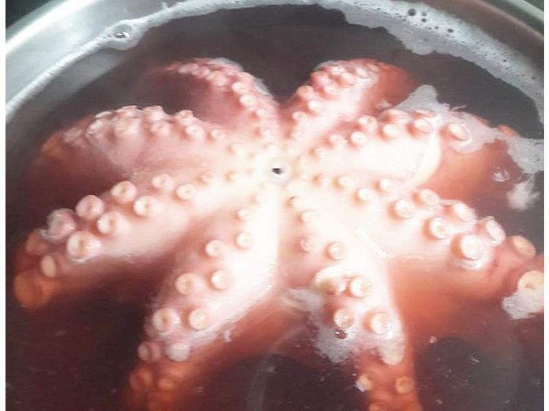 �ݲ����㺣�ʹ�������