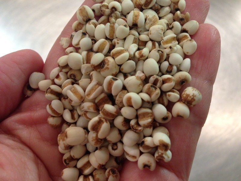 ��޲��ˮ ����ʪ�Ŷ��ط���������