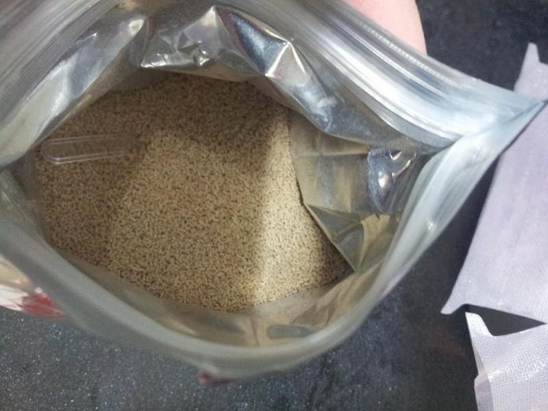 ���׶�����˴����յ�����