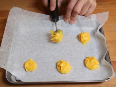 �ɰ���ʥ����ܽ������