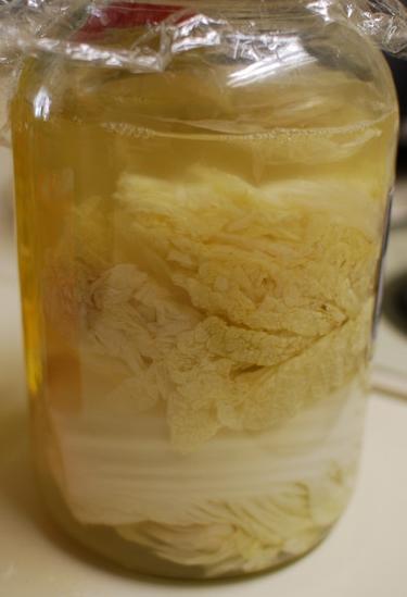 ����ˣ��붫����ָ����������