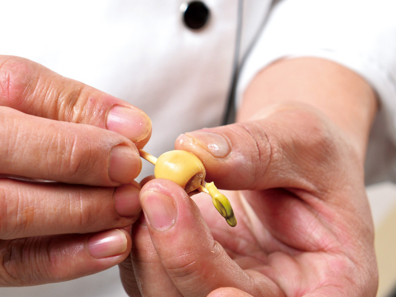 ����ζ��Բ����硿����������ѩ�������