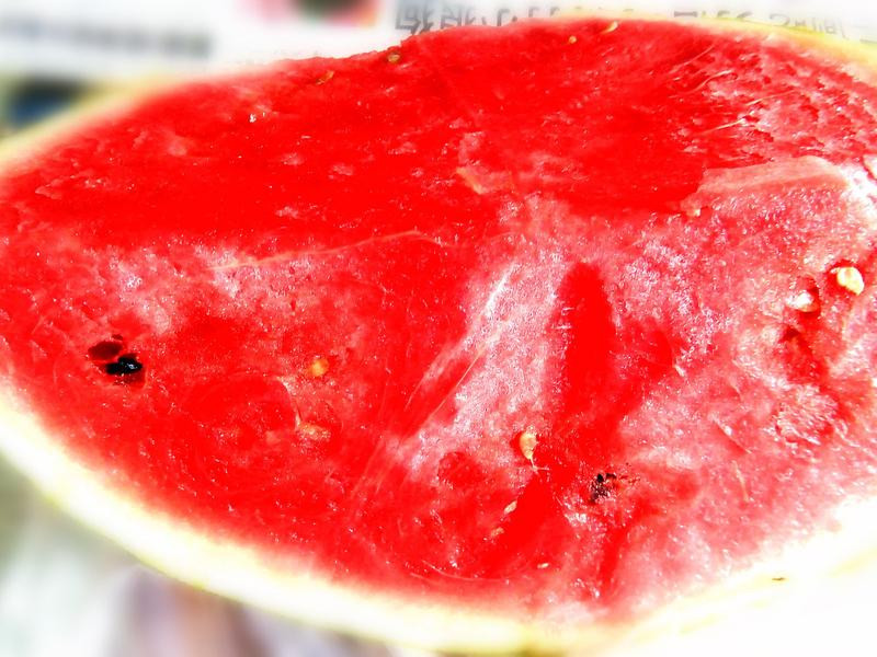 ����ţ�̵�����