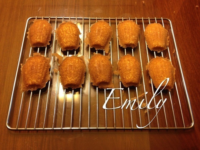 ʥ�������������