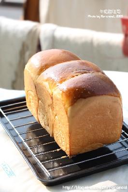 ţ������˾������