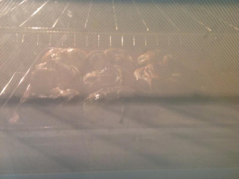 105T �����-��֥�����?!!!������