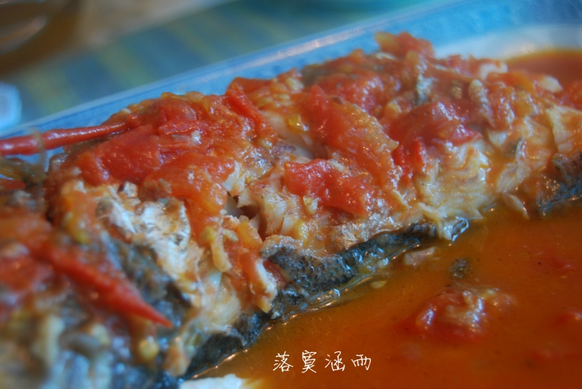 �Ҵ��ĺ�ͮͮ�ķ����������