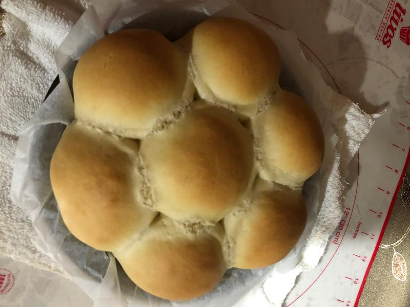 ������˺���������