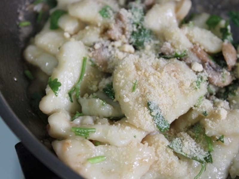 �������һ�졿���������ų�Ģ��������