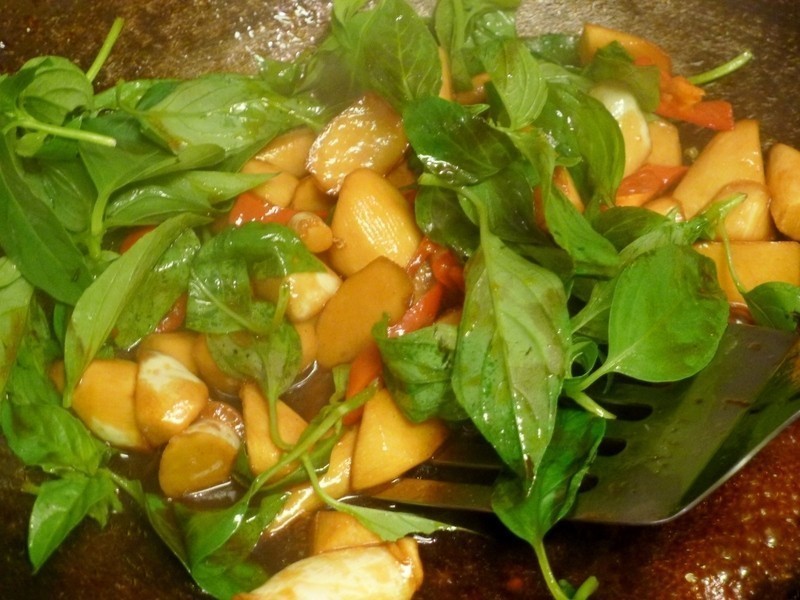 ���������ȵ�����