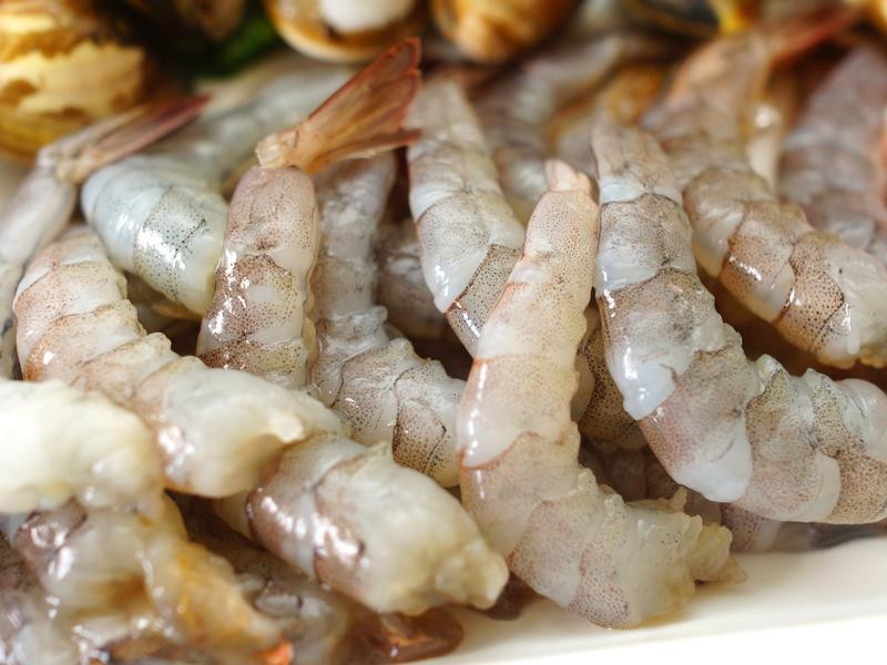 Խ�Ϻ��ʳ��ӷ۵�����