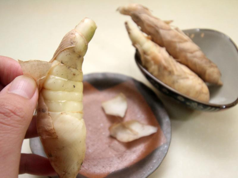 ��������������������