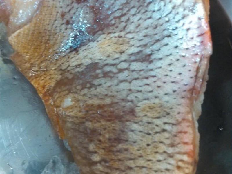 �������������