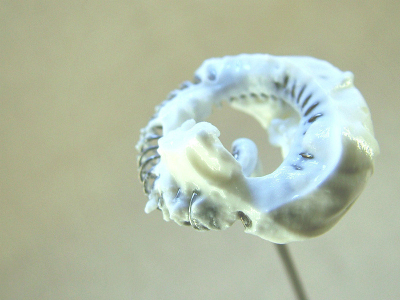 �ɶ���˼���������̲�춹����^������