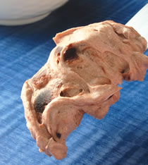 �춹�����ڵ�����