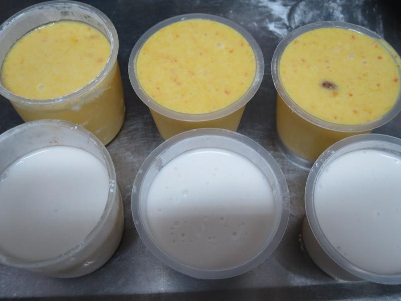 �ϹϿ�ζ���Ǹ������