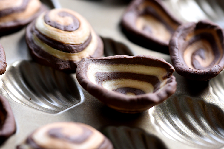 ���ɵ��ġ�è���䣨����棩������