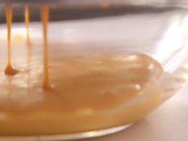 ����������������������