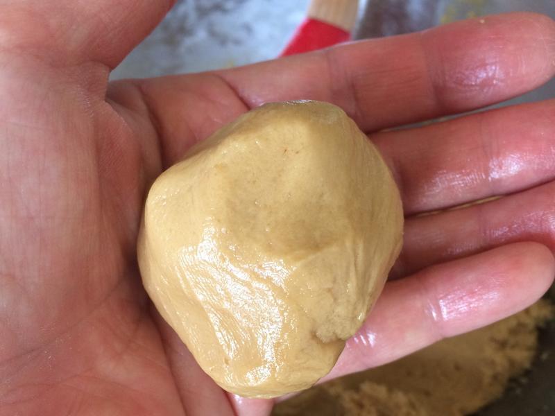 ���Ȳ��������������������