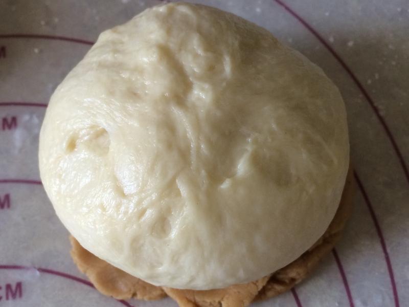 ���Ȳ��������������������