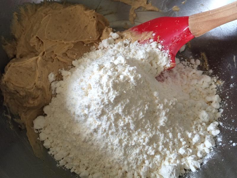 ���Ȳ��������������������