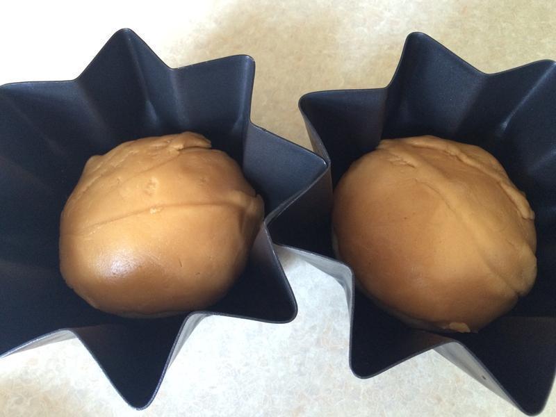 ���Ȳ��������������������