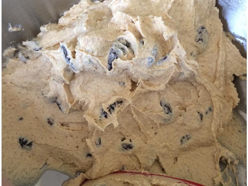 ���Ȳ��������������������