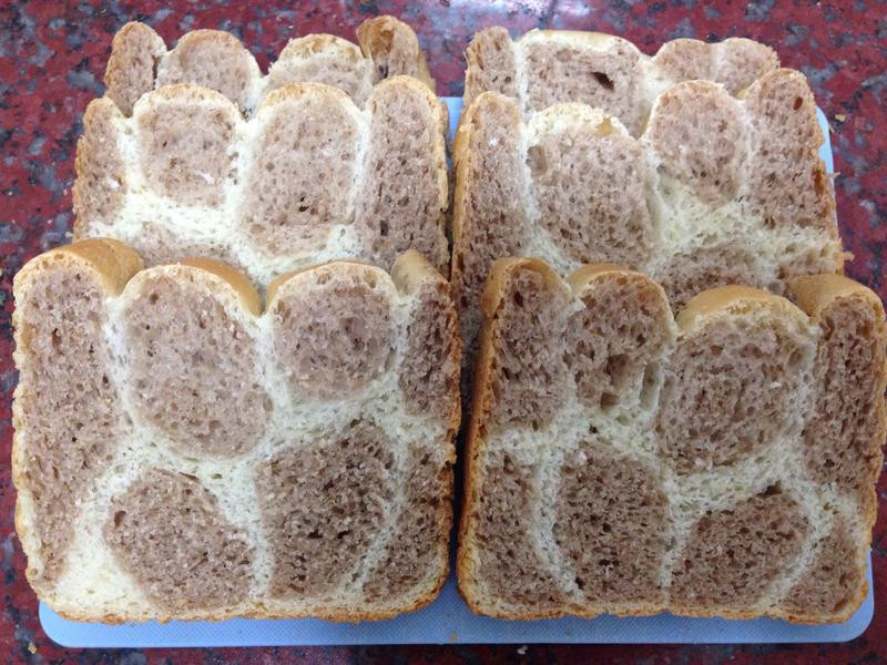 ����¹��˾������