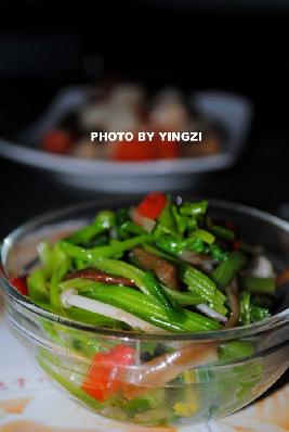 ������������������ֵ����ˣ�������۲˵�����