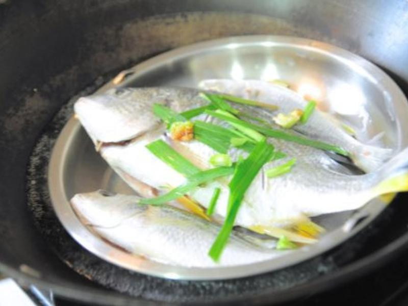 ����̩ʽ�����������