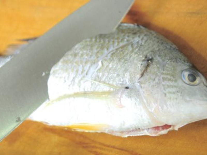 ����̩ʽ�����������