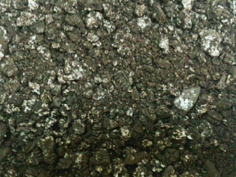 ŷ��ŷ��˾���������