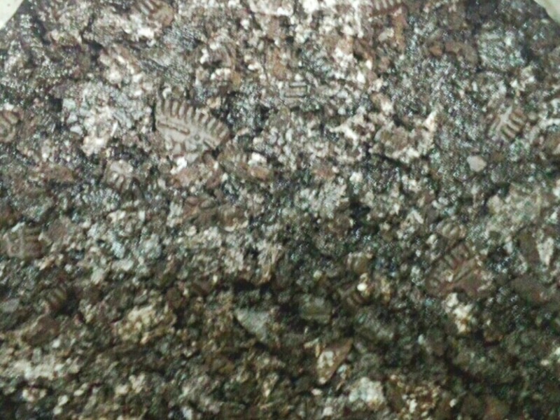 ŷ��ŷ��˾���������