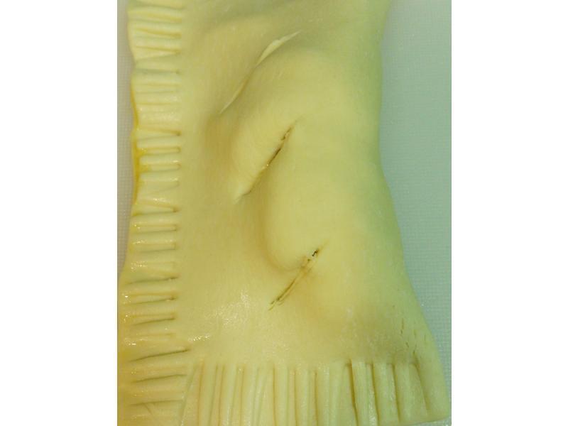 ��������ƻ���� ���ָ��������������