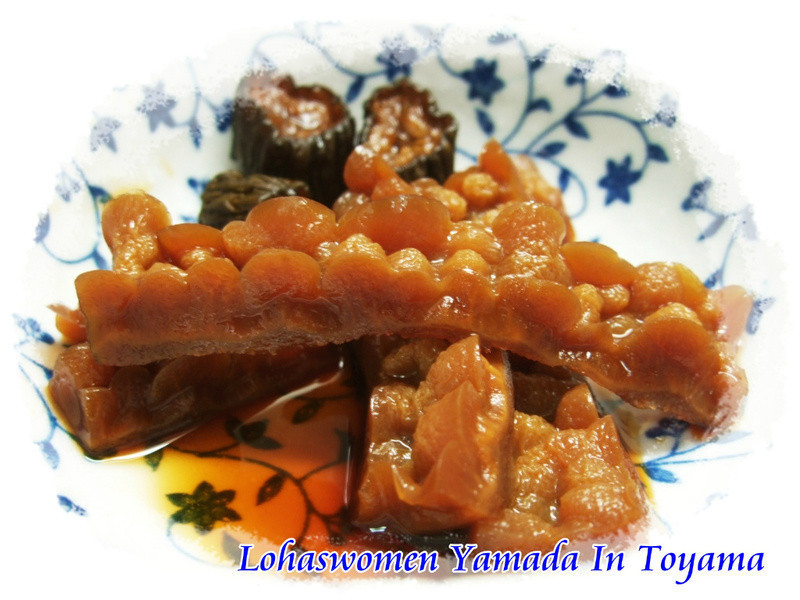 ���տ�ϵ�����