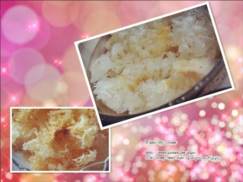 ��������ѩ������������