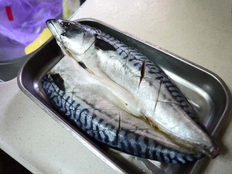 �������������