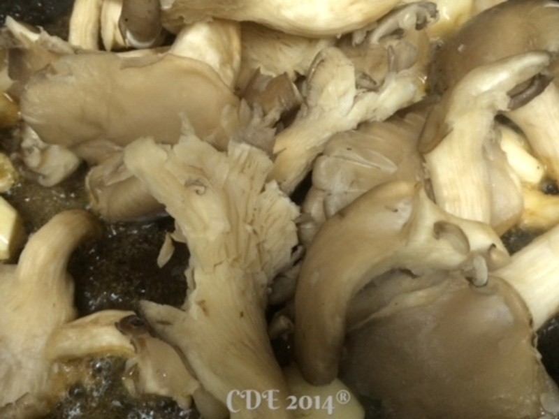 CDE������׼��ŦԼ��ţ�ŵ�����