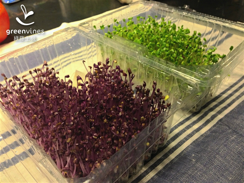 [����ѿʳ��] ����ѿ�˾�������