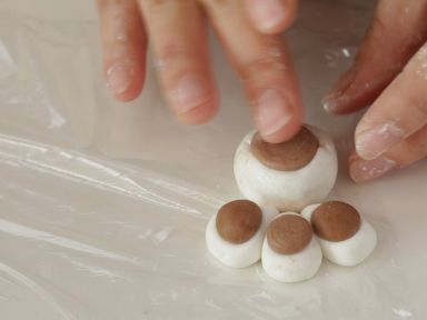 ��ɳèצ��Բ������