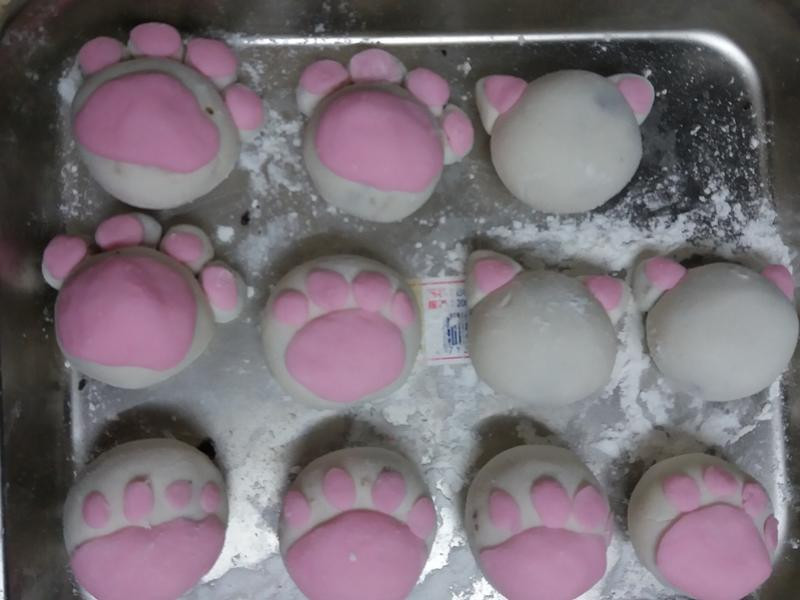 ����è����Բ������