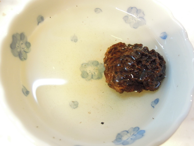 ţ������������