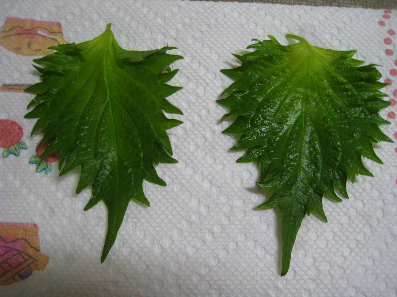 ��Take a bread�����������Ρ������͡���˾�����������ε�����